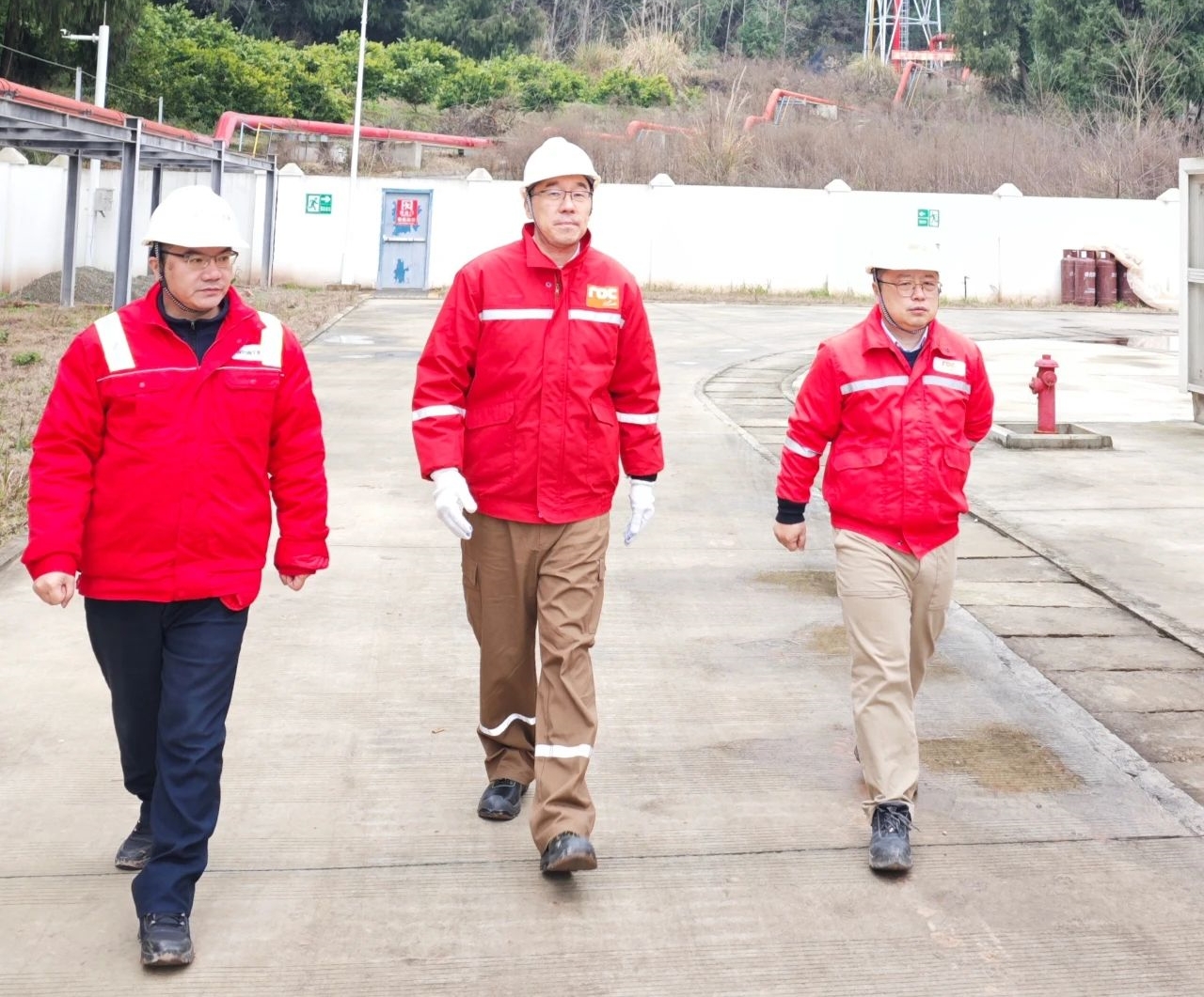 ��˹���ܲ����ڸ����ʯ�Ͱ˽ǳ�ο�ʵ���